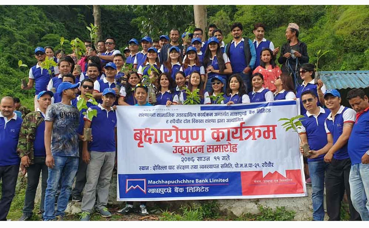 माछापुच्छ्रे बैंकद्वारा पोखरा र भक्तपुरमा वृक्षारोपण