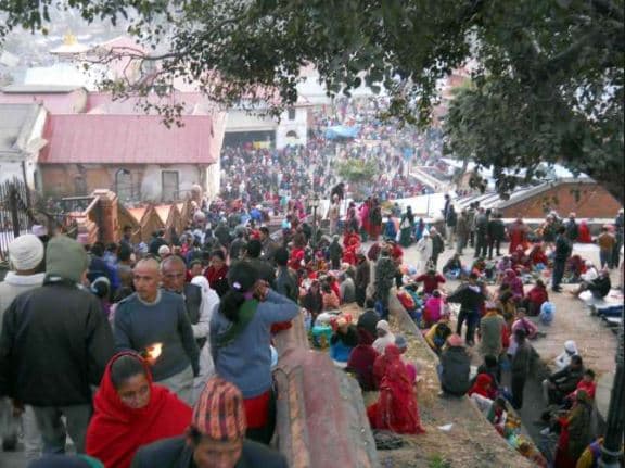 आज बालाचतुर्दशी, पशुपतिनाथ मन्दिरलगायत देशभरका शिवमन्दिरमा विहानैदेखि घुइचो