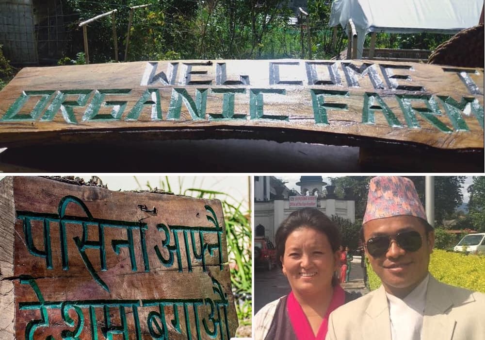 थकान र मिठासको संगमस्थल कपनको ‘अर्गानिक फार्म हाउस’