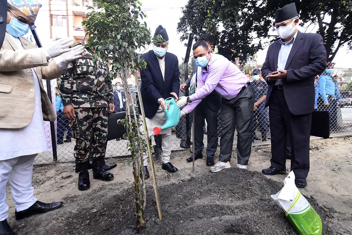 निजामती दिवसको अवसरमा प्रधानमन्त्री देउवाद्वारा वृक्षरोपण 