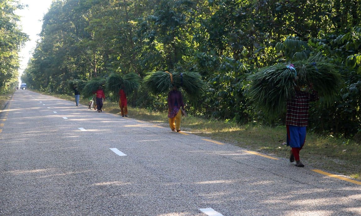 एक भारी घाँसकै लागि आधा दिन