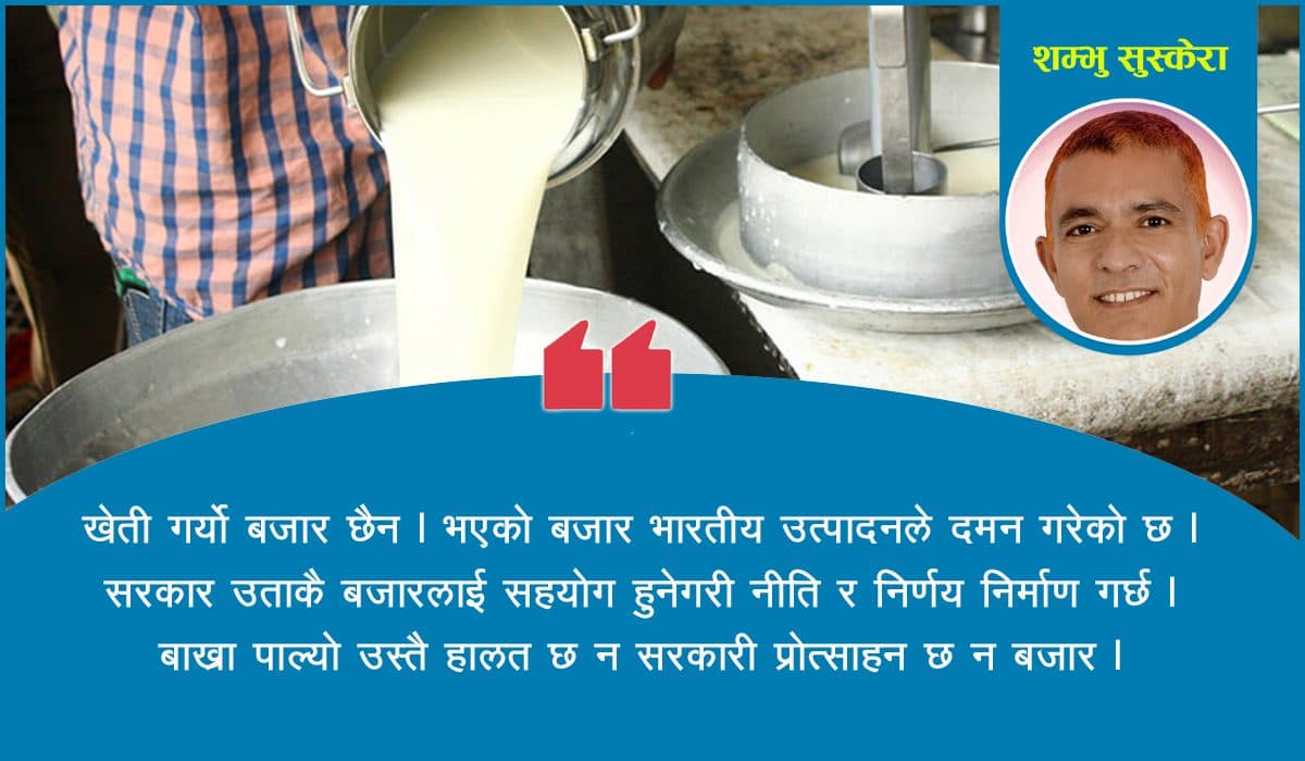 किसानले दूधको भूक्तानी नपाउनुको रहस्य !
