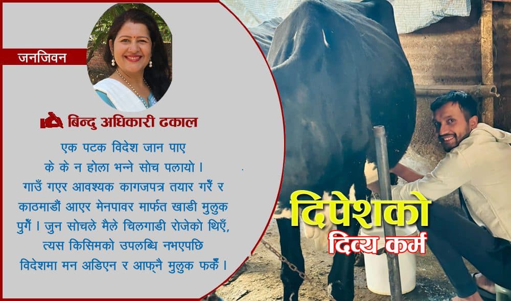 गाईगोठमा भविष्य खोजिरहेका दिपेश भन्छन- ‘सोचेजस्तो उपलब्धि नभएपछि विदेशमा मन अडिएन’
