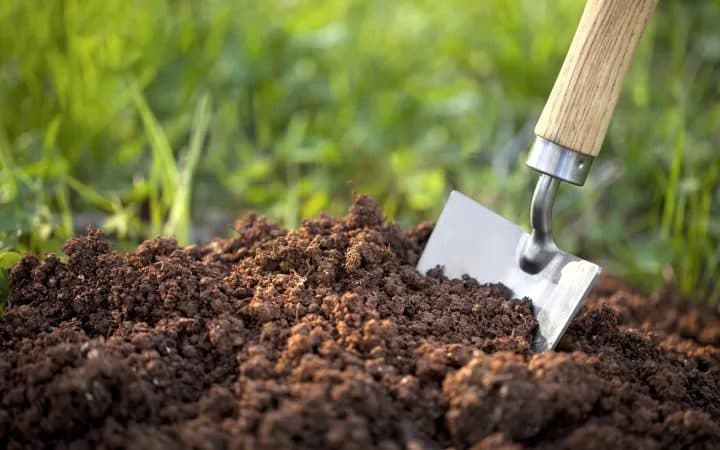 माटोमा अम्लियपना बढ्दा रैथाने खेती नासिँदै