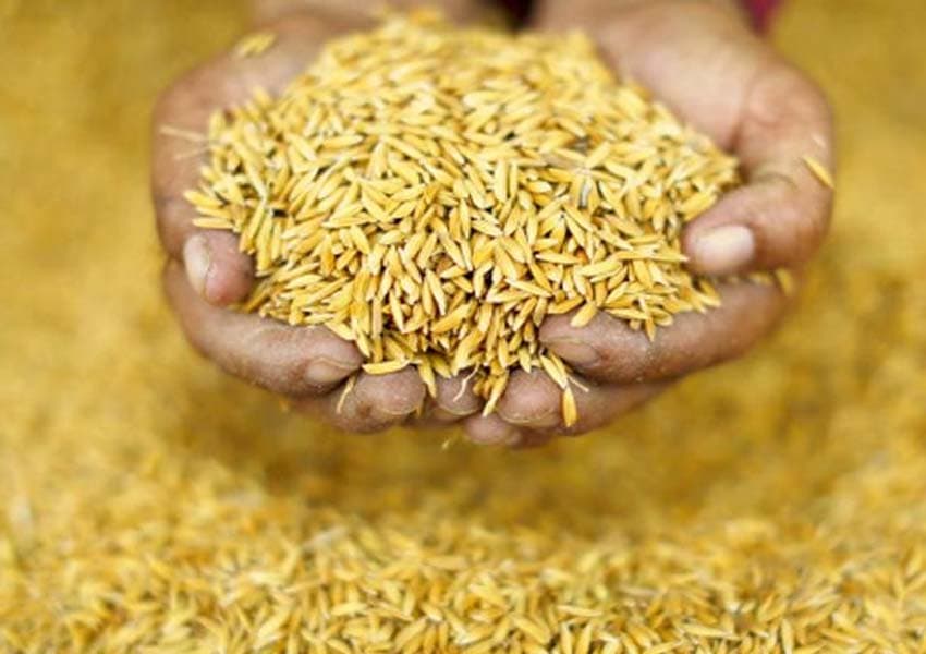सुदूरका तीन जिल्लामा खाद्यान्न सञ्चित