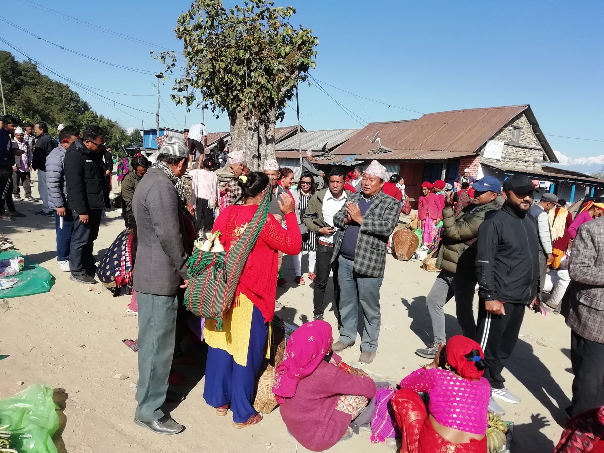 संखुवासभाको प्रदेशसभा सदस्यका उम्मेदवार विदुर लिङ्थेपको चर्चा चुलिदै