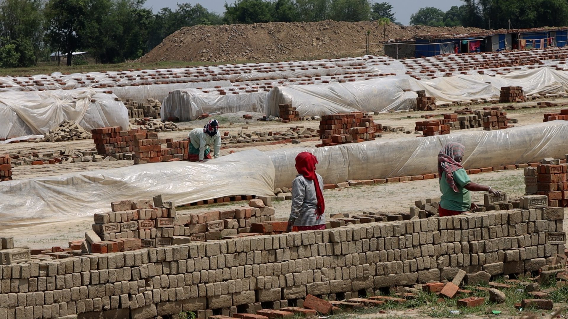 कोशीका श्रमिकलाई ‘न मान, न दाम, न सम्मान’
